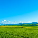 大河「豊臣兄弟！」で、心に刺さった言葉とは？