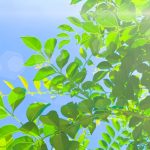 新しいことを無理なく始められる仕組みとは？