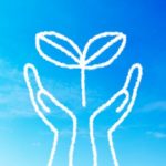 今年を振り返って（できたこと、できなかったこと）